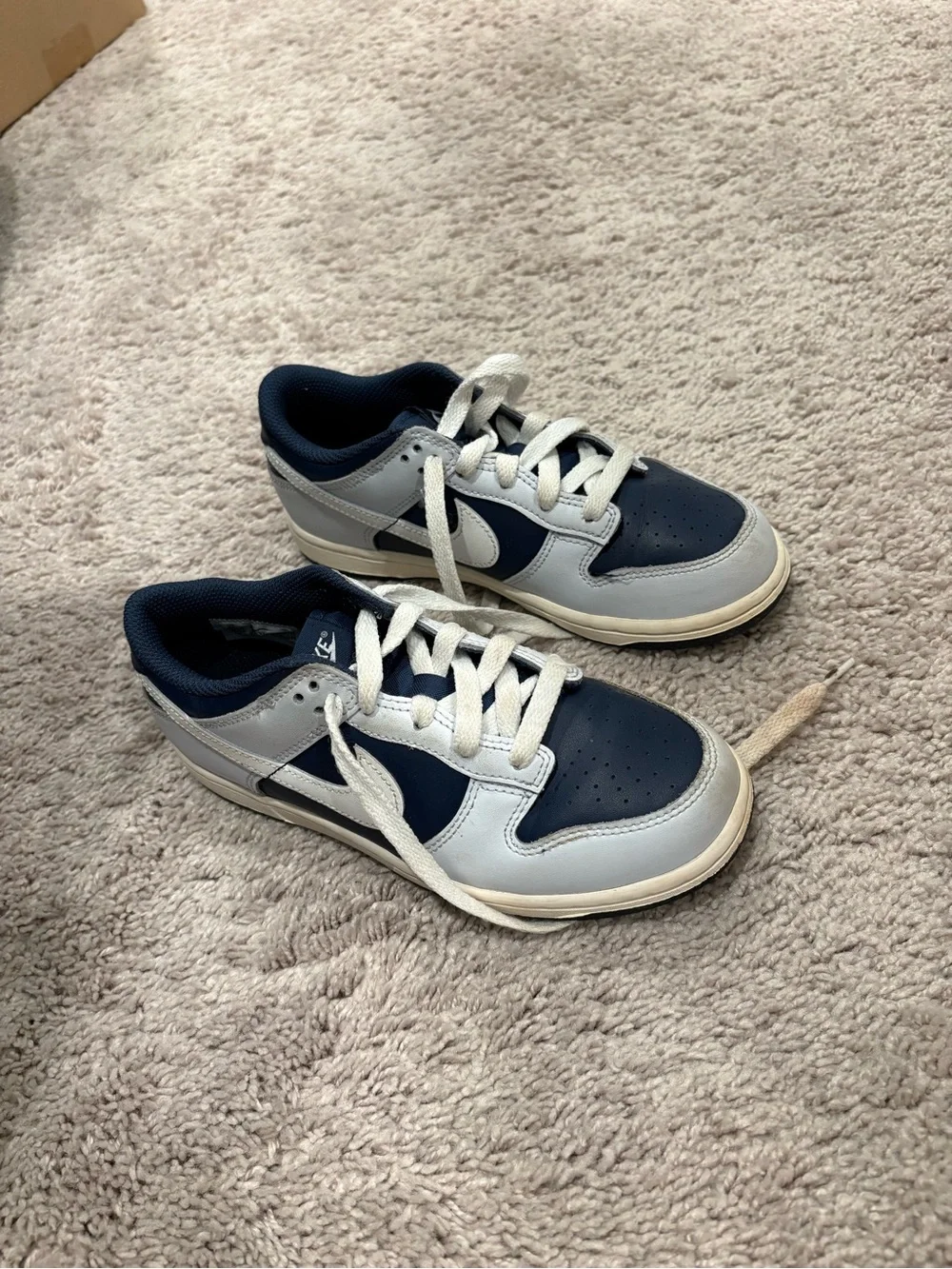Nike Low-Top Sneakers in Navy and Light Gray